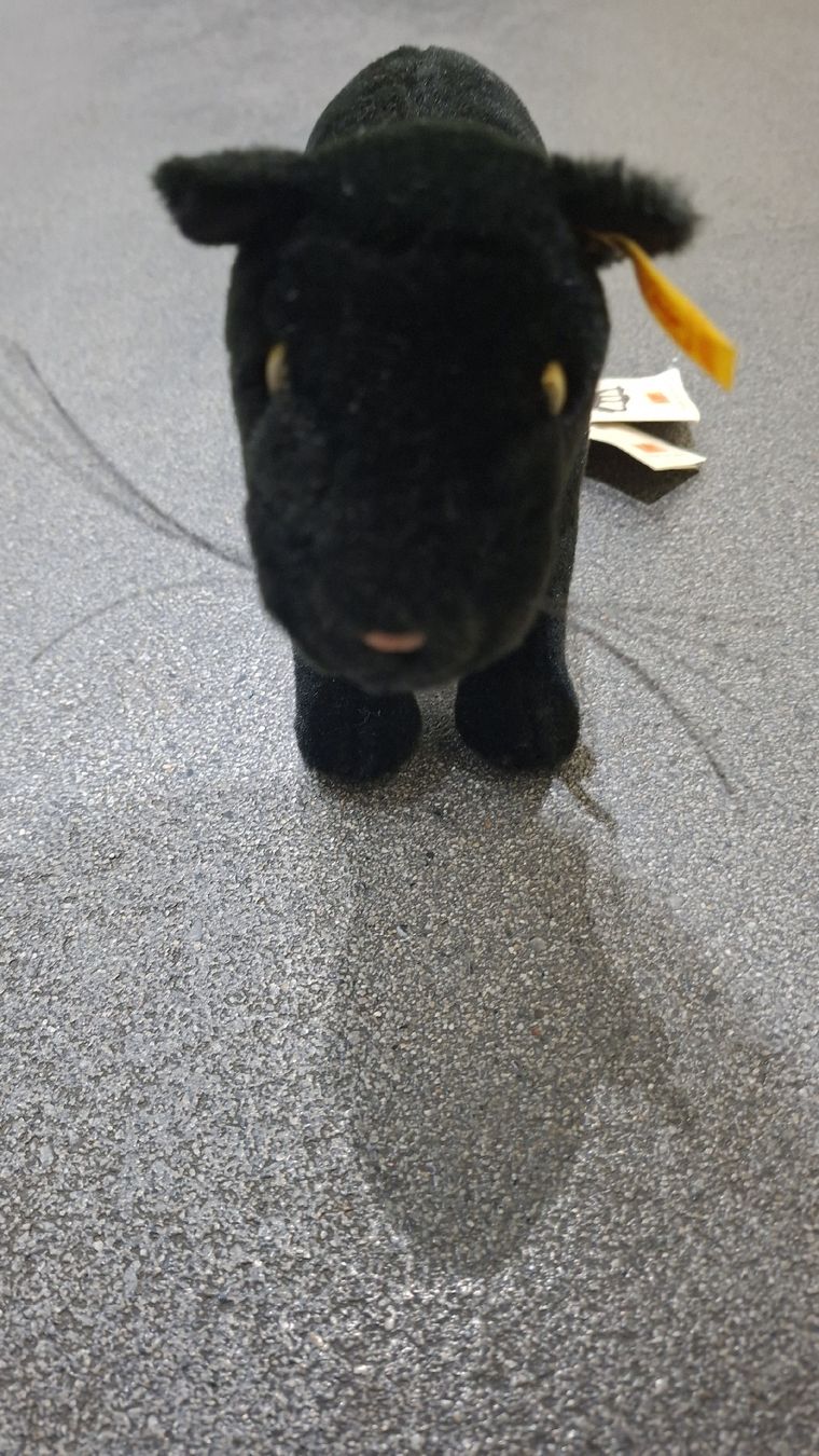Steiff Giocattoli: Steiff Panther 065019 – Usato da Hünenberg venduto da 1902 2