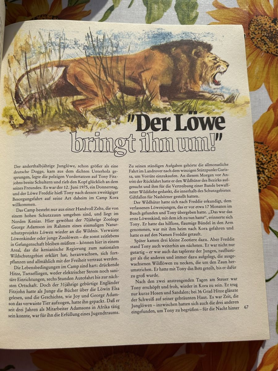 Bücher: Das grosse Reader's Digest Jugendbuch, gut erhalten! – Gebraucht aus Wettingen von hak_52m8 2