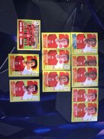 Panini FIFA World Cup Stickers CAN 2022 11 Stk. neuwertig