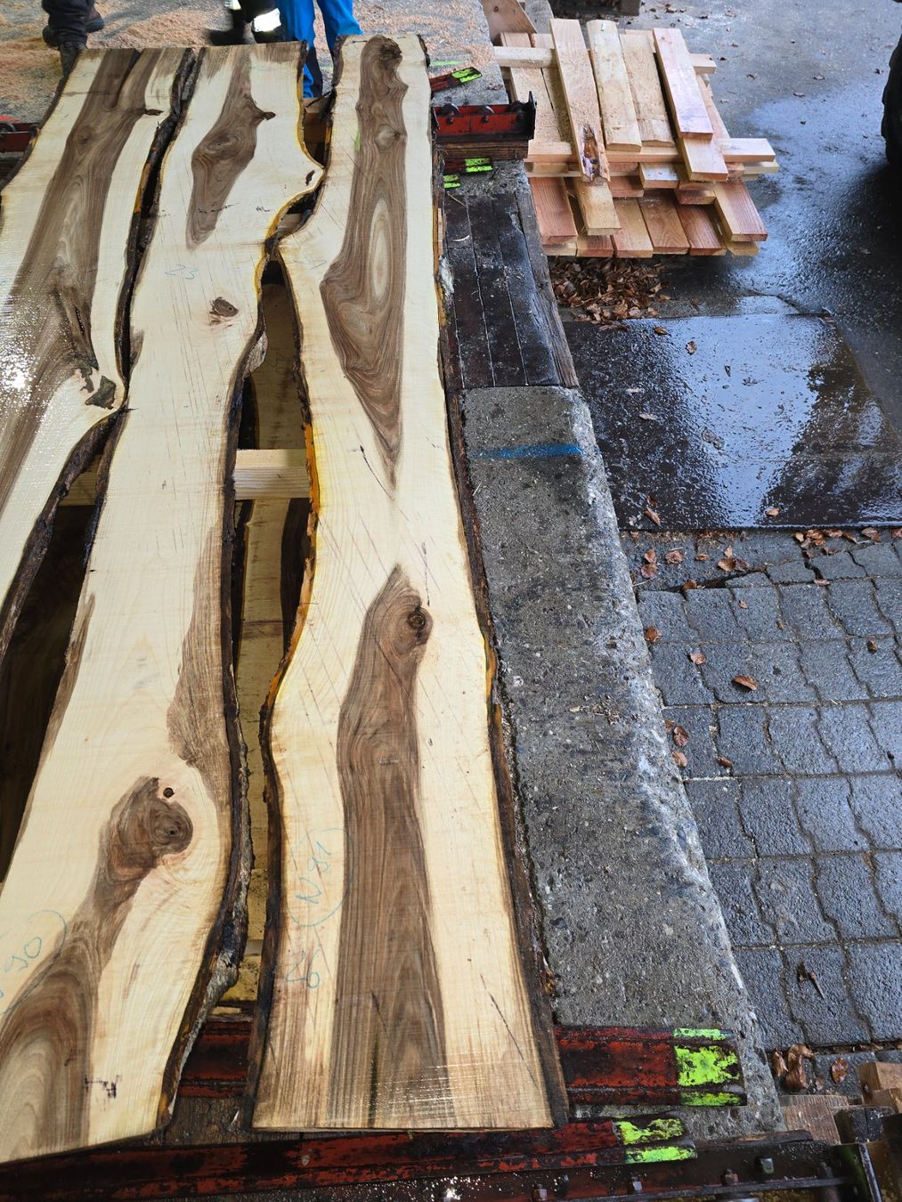 Articoli in legno: Nussbaumbrett Nr. N91 – Nuovo (secondo la descrizione) da Ramsei venduto da Waelchris