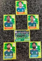 Panini Stickers