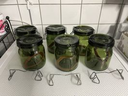5 Bülach Weckgläser Einmachgläser Fermentiergläser Gläser