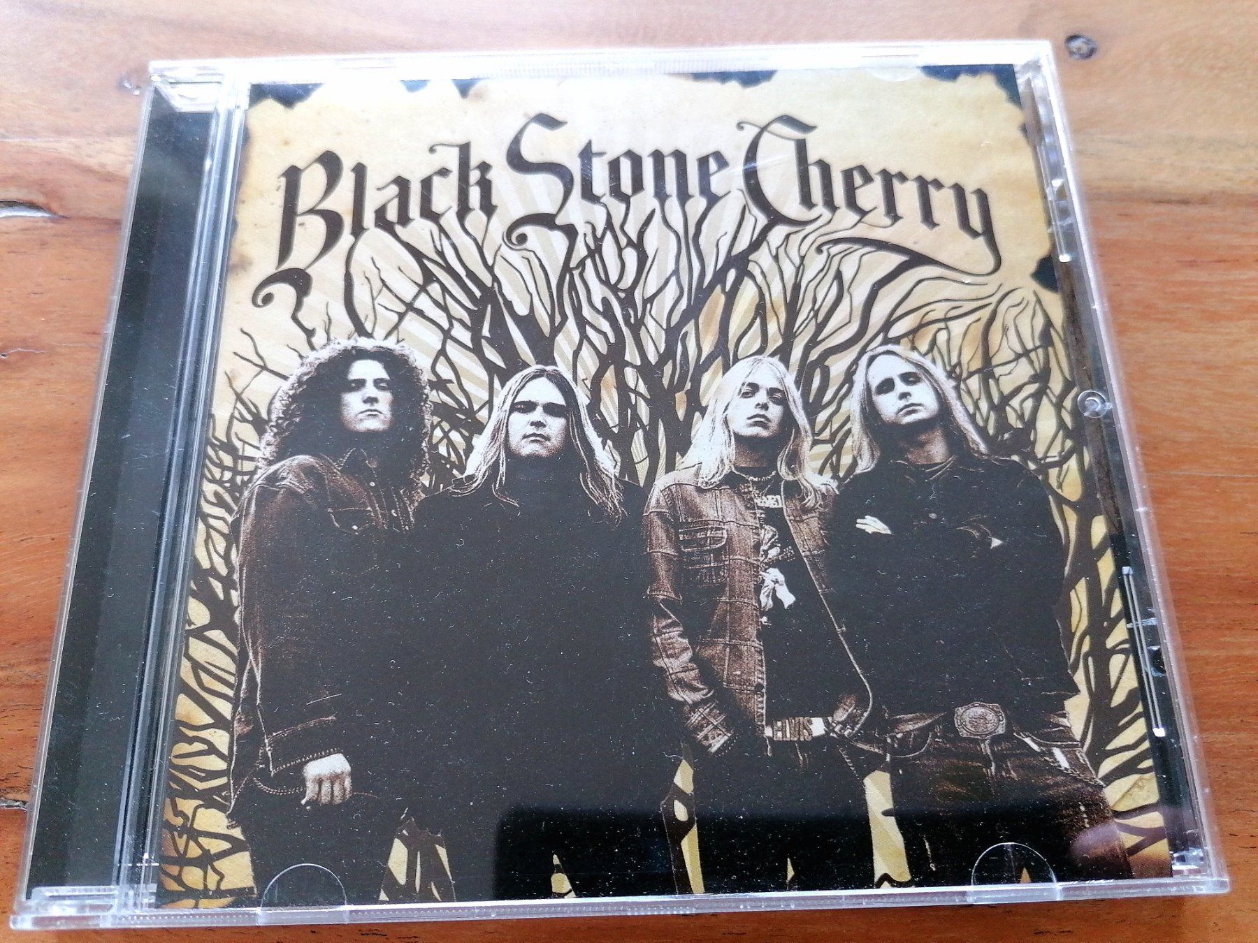 CD: Black Stone Cherry – Usato da Fällanden venduto da Bengel1967
