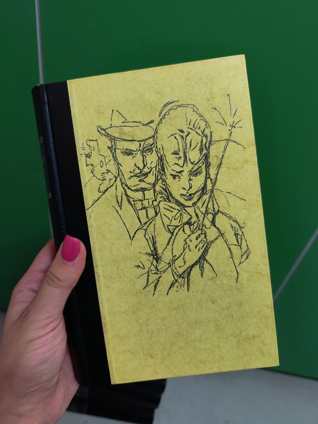 Bücher: Guy de Maupassant Werke 9 Bände – Gebraucht aus Mägenwil von VintageGirly 1