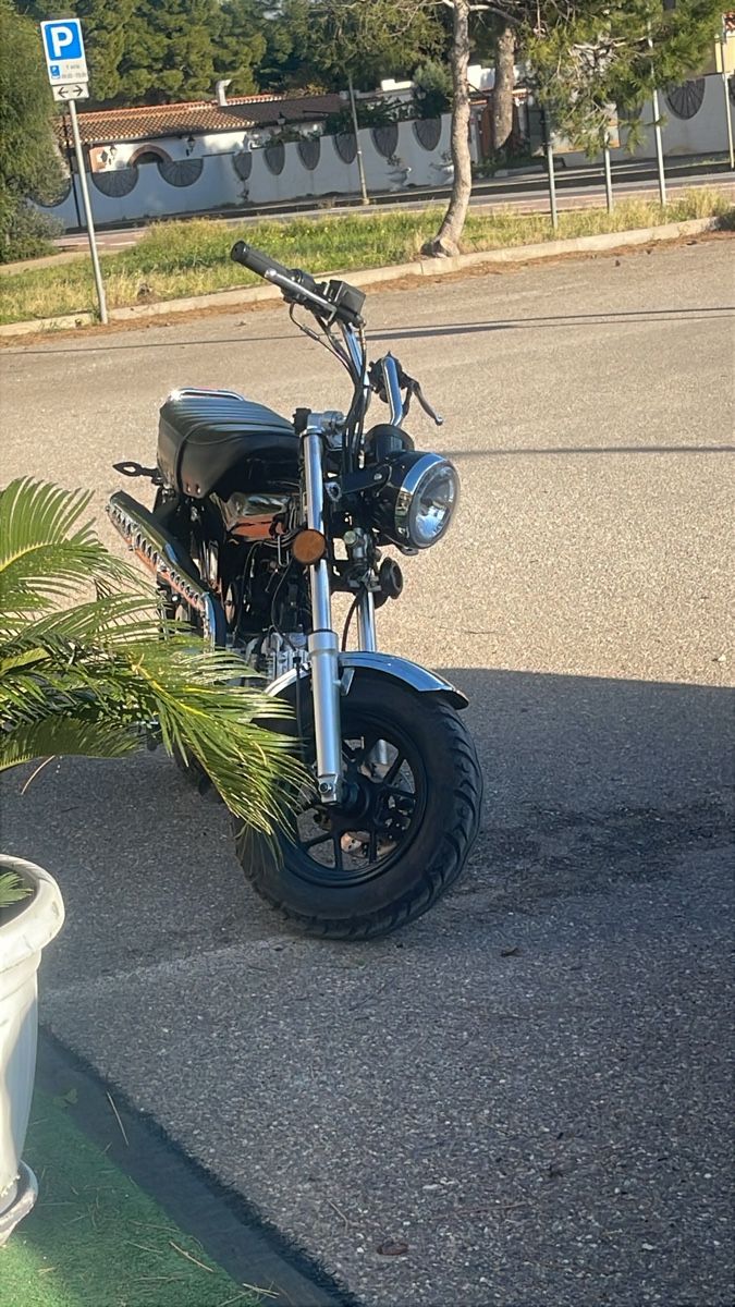 Skyteam Strasse: Moto Dax 125 Skyteam  – Gebraucht aus Salvan von psc_xxh7 3