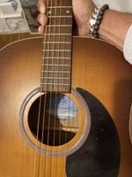 Seagull Entourage S6 Acoustic Guitar