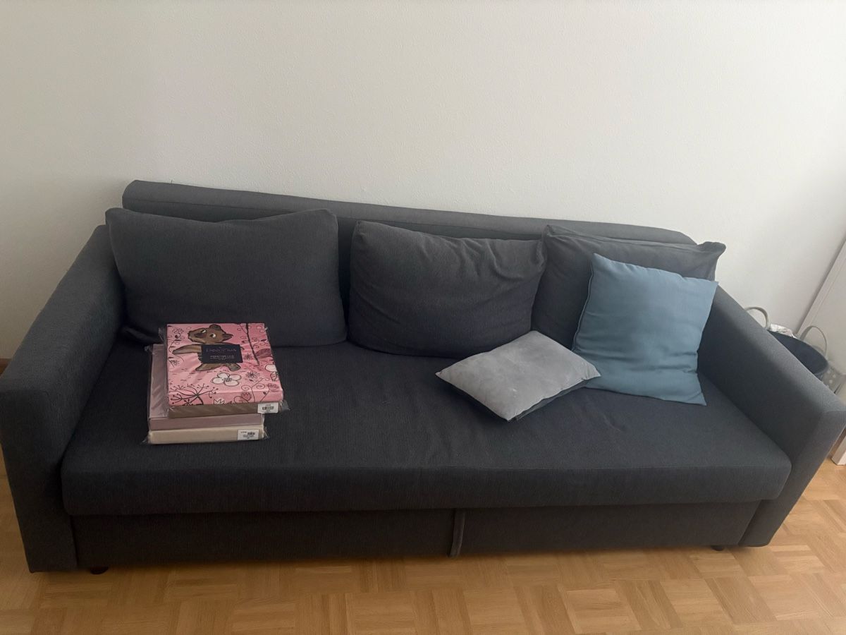 Divani: Schlafsofa  – Nuovo (secondo la descrizione) da Allschwil venduto da duc_gpp7