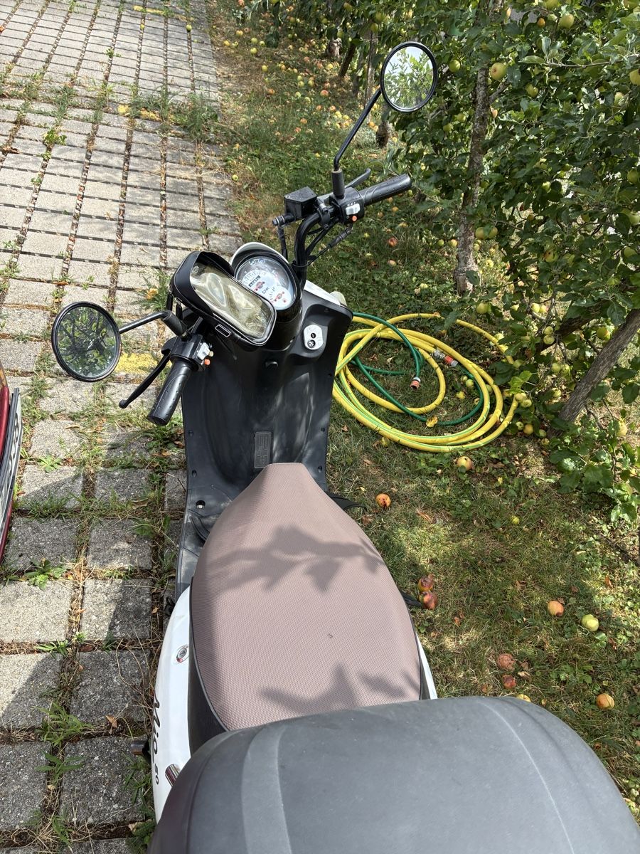 Sym Scooters: SYM Mio 50IL – Gebraucht aus Oberdorf SO von Matthew_Zeiska 3
