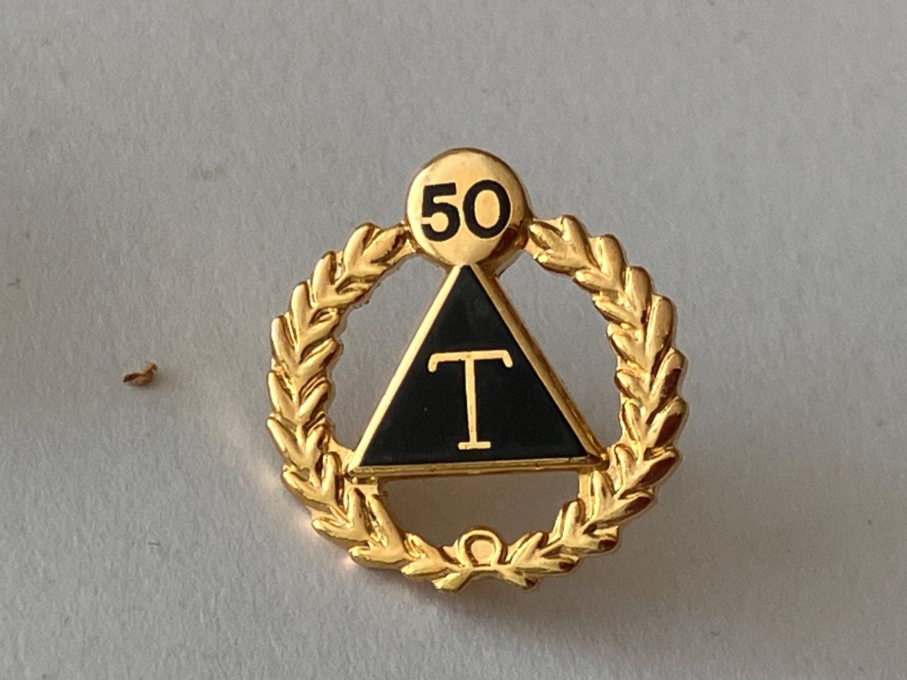 Placchette & Badge: 1 Pin T 50 Jahre – Usato da Basel venduto da djwwpp