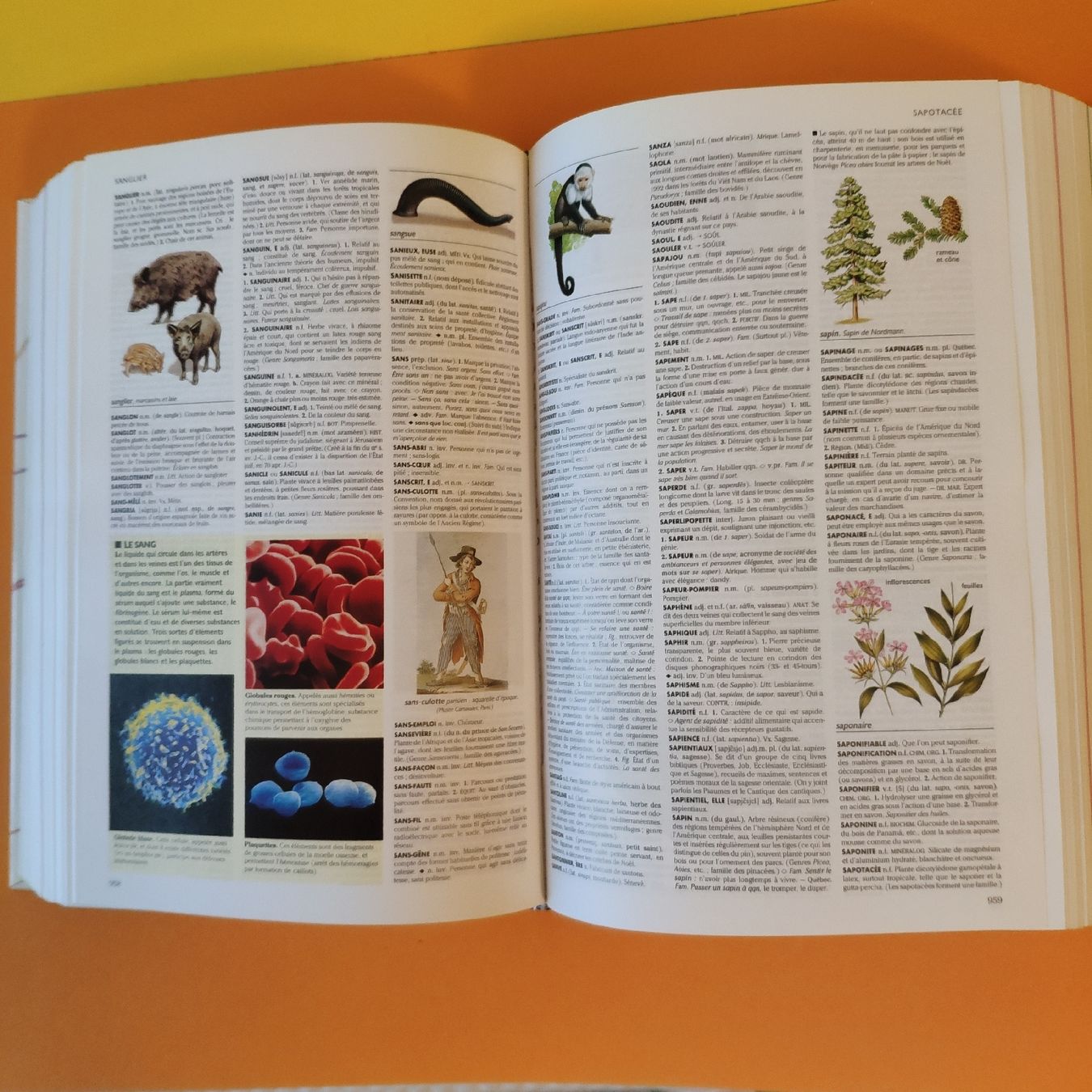 Bücher: Le petit Larousse illustré 2006 , 1855 pages – Neu (gemäss Beschreibung) aus Lausanne von Jdelta 4