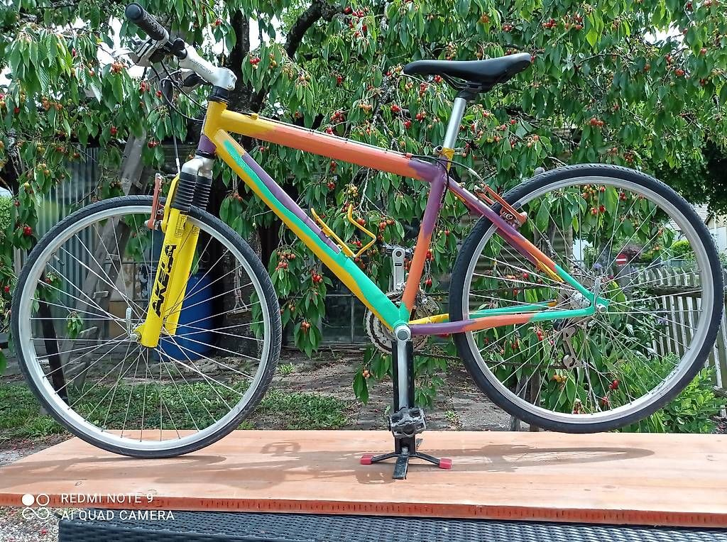 Biciclette: Art MTB Andy Warhol Style – Usato da Biel/Bienne venduto da Rouf7
