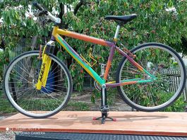 Art MTB Andy Warhol Style