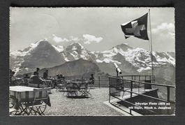 AK Schynige Platte mit Eiger Mönch und Jungfrau
