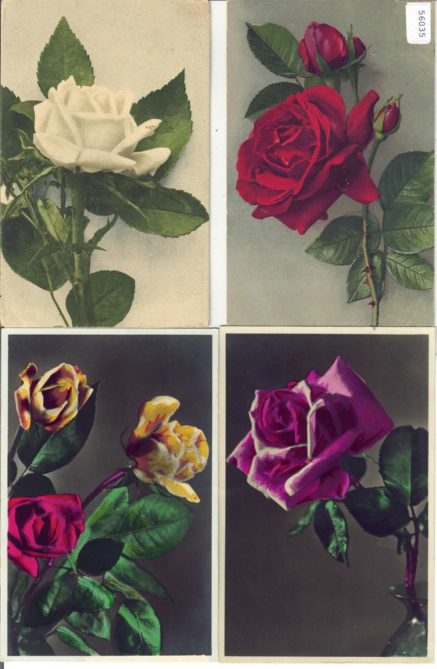Cartes postales: 4 AK - Rosen – D'occasion à Ettingen par Kartenplanet