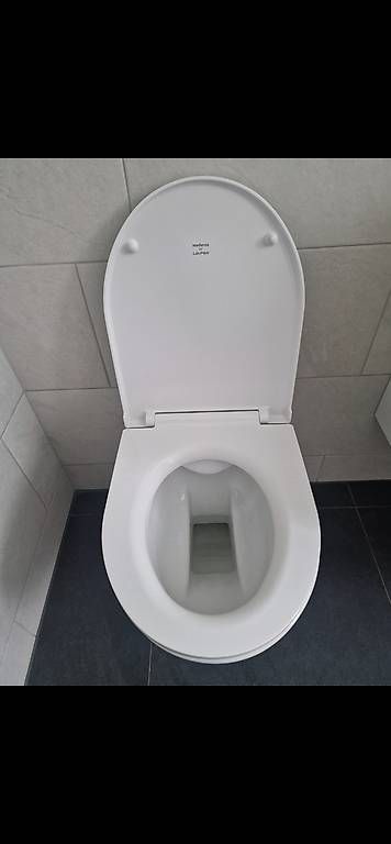 WC: Geberit Moderna Spülrandlos – D'occasion à Kollbrunn par Advanced-3000 1