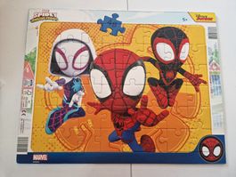 Puzzle Spidey und seine Super-Freunde