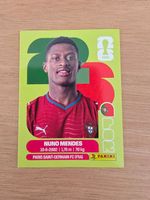 Panini Fifa POR 7