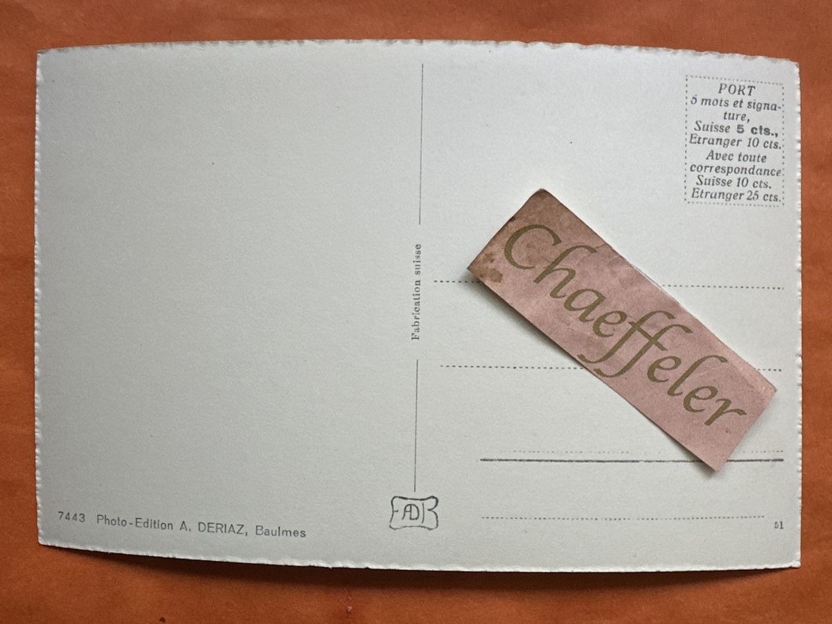 Cartoline postali: Vintage Ansichtskarte Champery, Wallis, Schweiz, ungelaufen – Usato da Zürich venduto da Chaeffeler 1