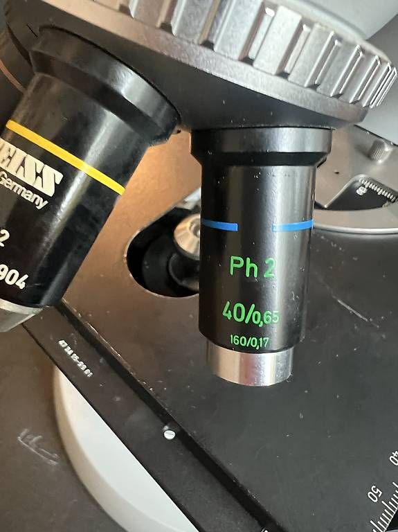 Mikroskopie: Zeiss Mikroskop – Gebraucht aus Pfaffhausen von willa02 2