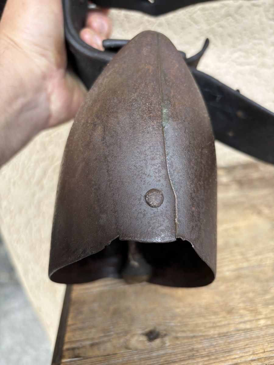 Chamonix Campanacci mucche: MLD Chamonix NR 4. – Usato da Schangnau venduto da Roseggli82 5