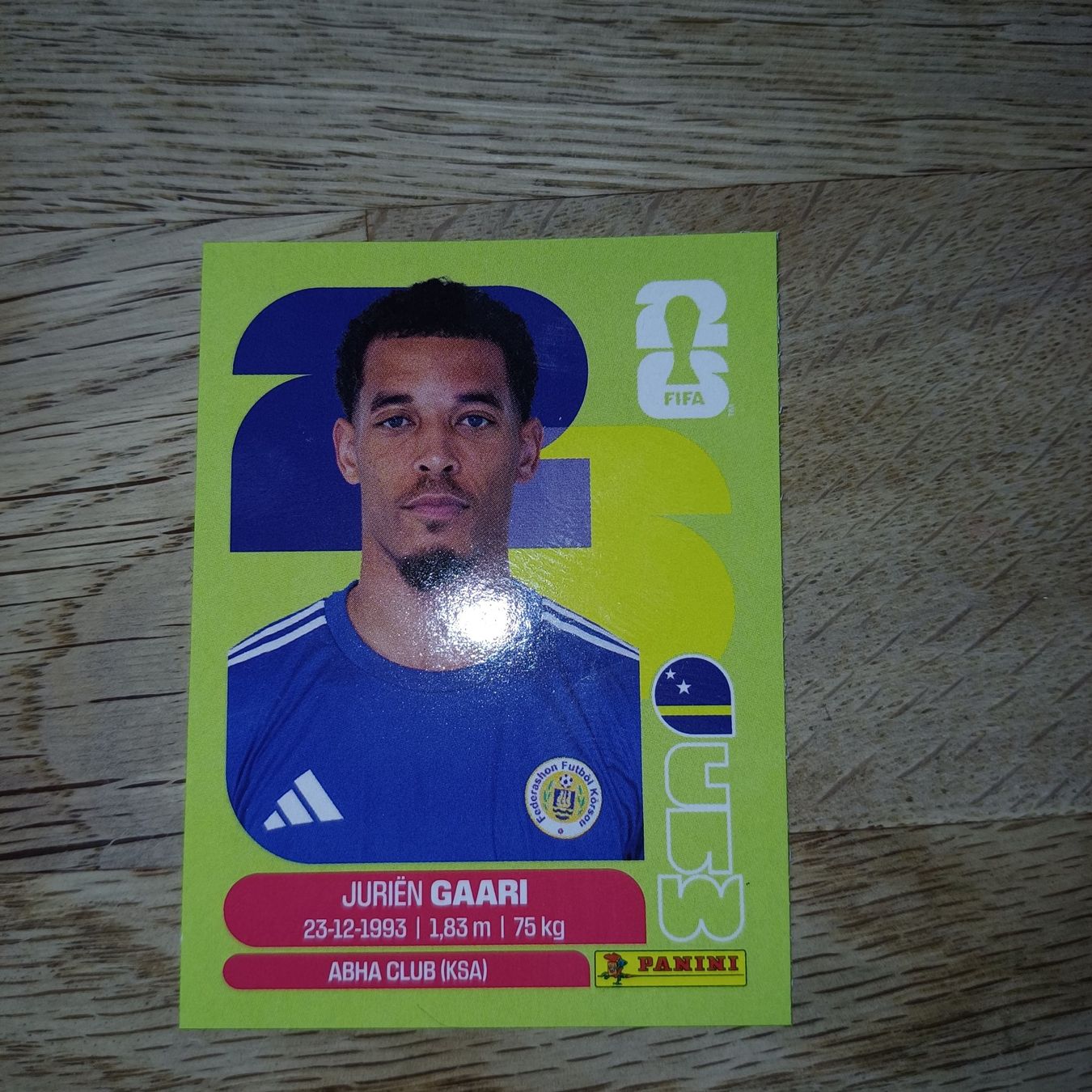 Panini Carte collezionabili: Panini – Usato da Aedermannsdorf venduto da holzkaefer