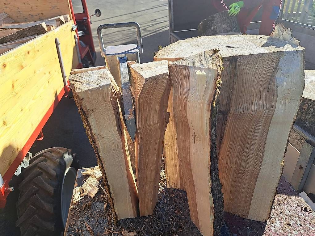 Articoli in legno: Brennholz Esche – Nuovo (secondo la descrizione) da Entlebuch venduto da Muesli05 4
