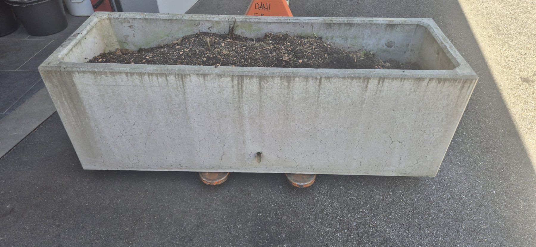 Vasi per fiori: Grosser Pflanzen-Betontrog – Usato da Buchs AG venduto da dcbu 2