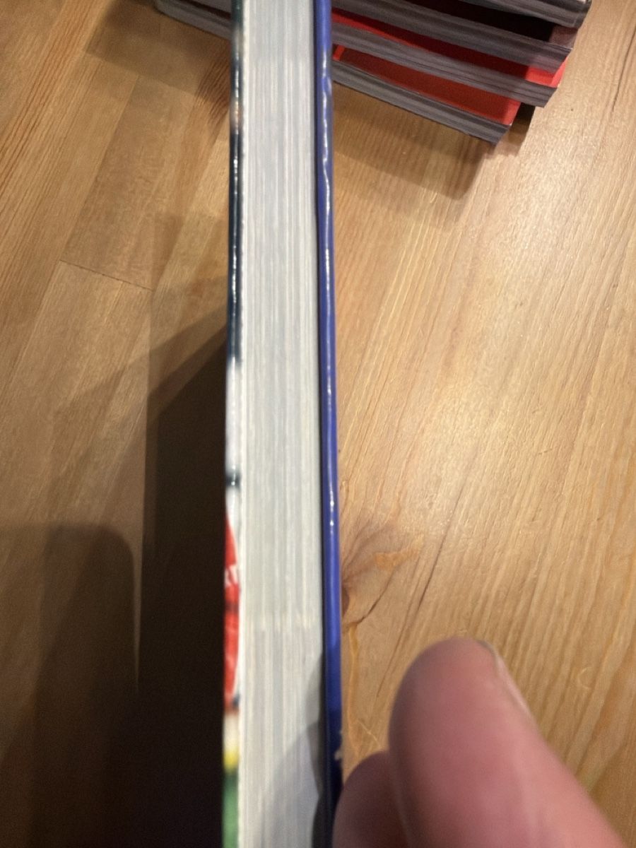 Libri: FC Basel Buch Saison 2002/2003 Die Spiele in Bildern – Usato da Gelterkinden venduto da LPKAL 1