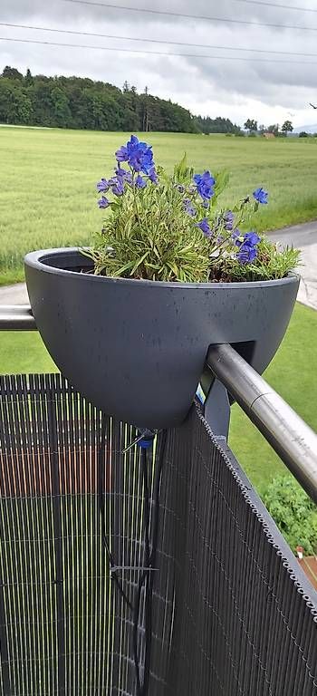 Vasi per fiori: Eck-Geländer-Pflanztopf anthrazit  NP 119 CHF – Usato da Düdingen venduto da Yvu2k