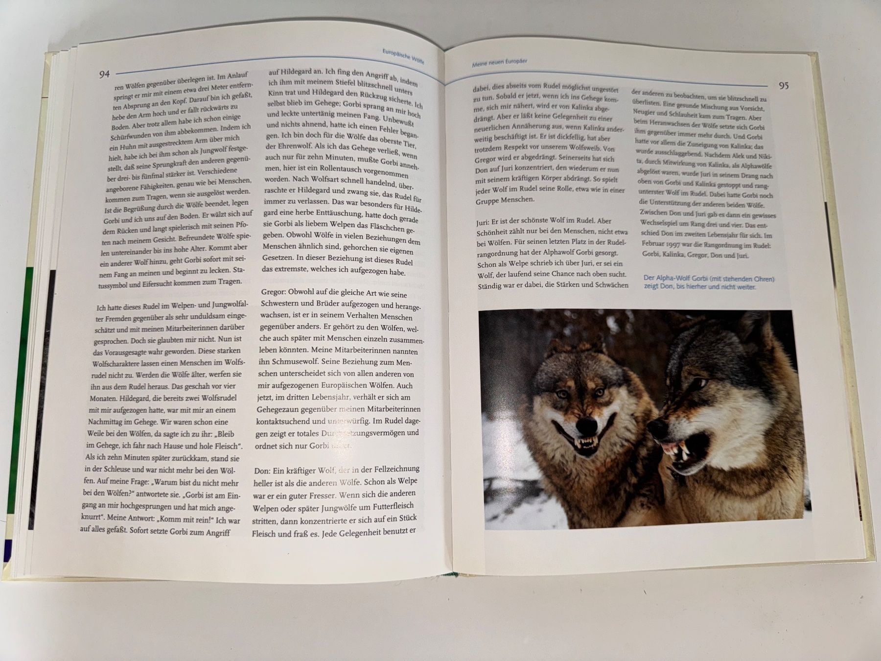 Libri: Buch: Wolf unter Wölfen, Werner Freund – Usato da Grosswangen venduto da Second_hand_paradise 5