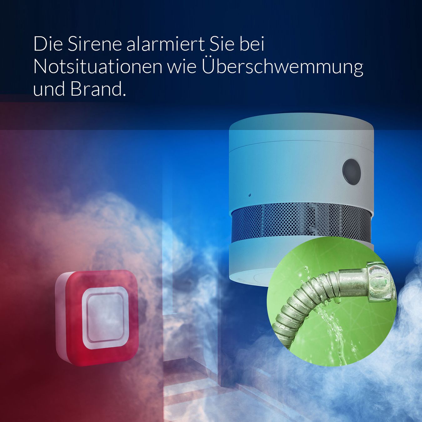 Sistemi d'allarme: Sirene – Nuovo e nell'imballaggio originale da Dietlikon venduto da Salesmax 6