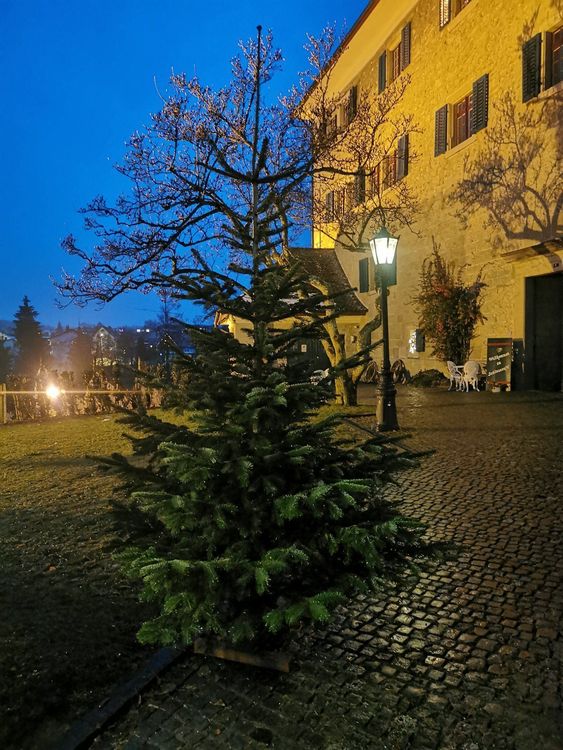 Weihnachtsbaum zum Spendenzweck 1