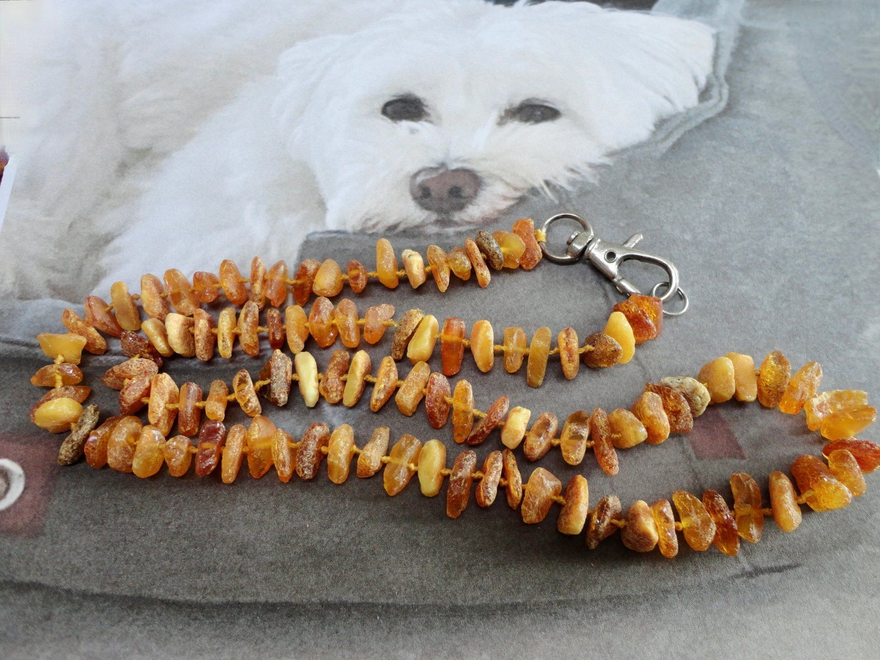 Nourriture: Hundekette - Bernstein/Amber/ Ambre echt – Neuf (Voir description) à Biberist par tl-schmuck