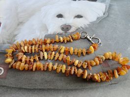 Hundekette - Bernstein/Amber/ Ambre echt