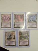 Magic the Gathering 5 Elder Dragons Sammlerstücke