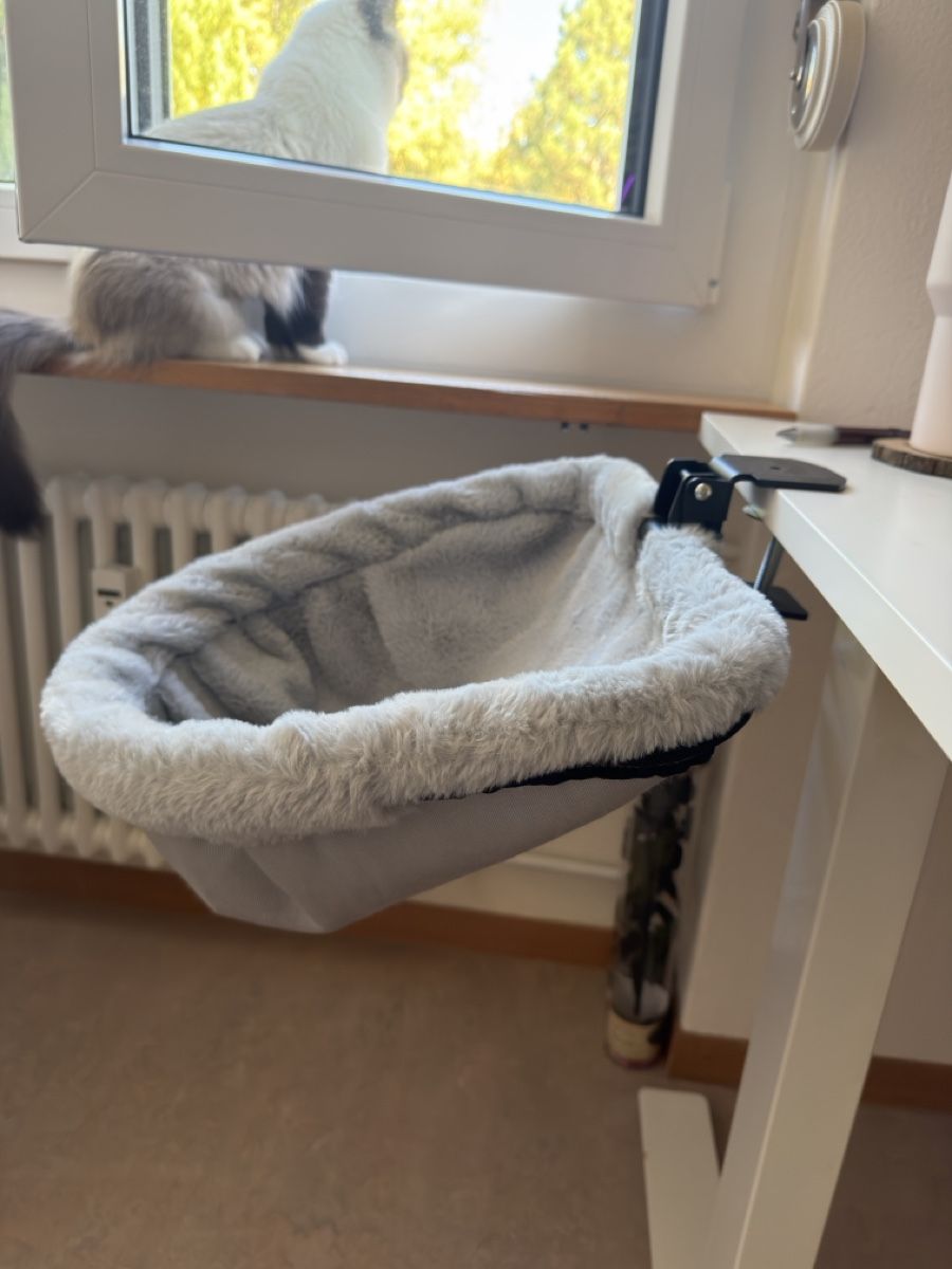 Liege- & Schlafplätze: Cat bed for desk – Neu (gemäss Beschreibung) aus Fehraltorf von milady