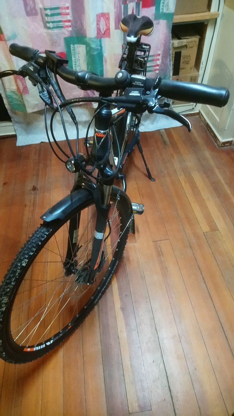 Biciclette: KTM E-Cross Umbau – Usato da Necker venduto da Styfel 2