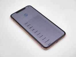 APPLE iPhone 11 Pro Max iCloud gesperrt (26053057)