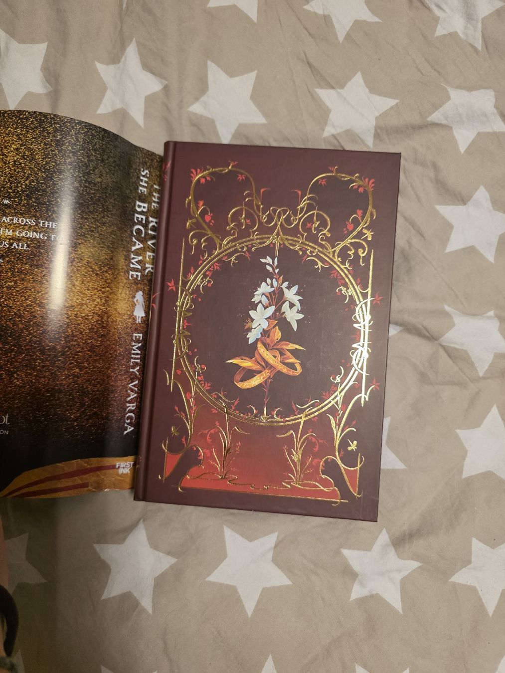 Bücher: fairyloot The river she became – Neu und originalverpackt aus Erlen von Noloka_green 2