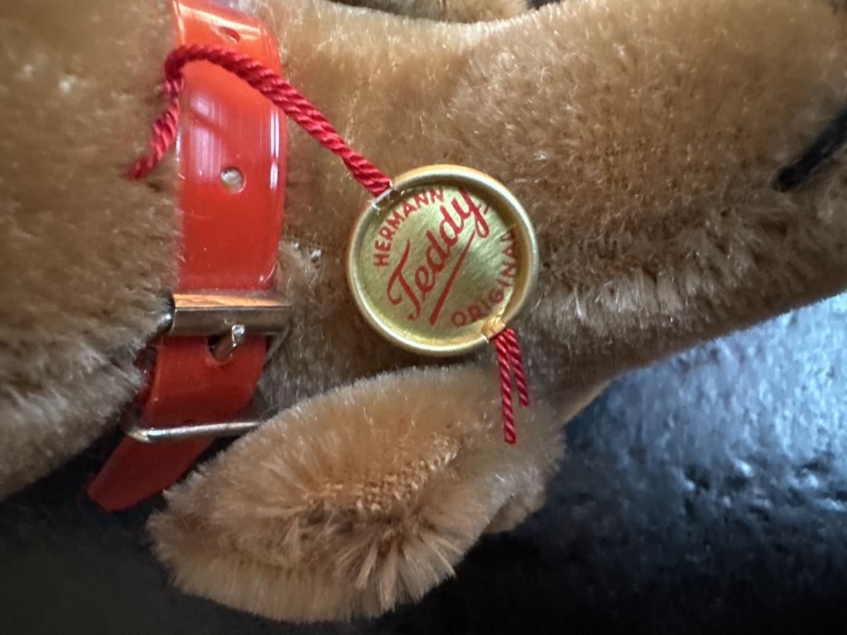 Teddy Hermann Giocattoli: Original Dackel Hermann Teddy Vintage – Nuovo (secondo la descrizione) da Schmitten FR venduto da mantom 7