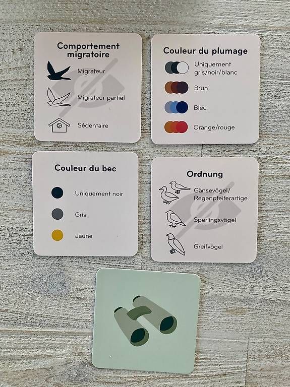 Giochi: Jeu de société Fly Home – Nuovo (secondo la descrizione) da Neuchâtel venduto da duprazs 3