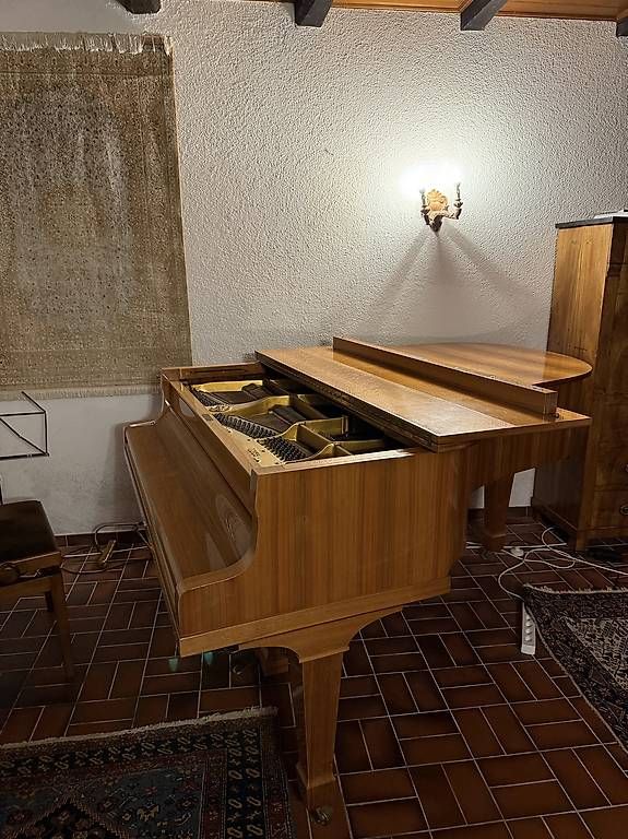 Strumenti musicali: Piano – Usato da Ependes VD venduto da top_ps52