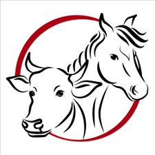 Profile image of Farm_Dongio7