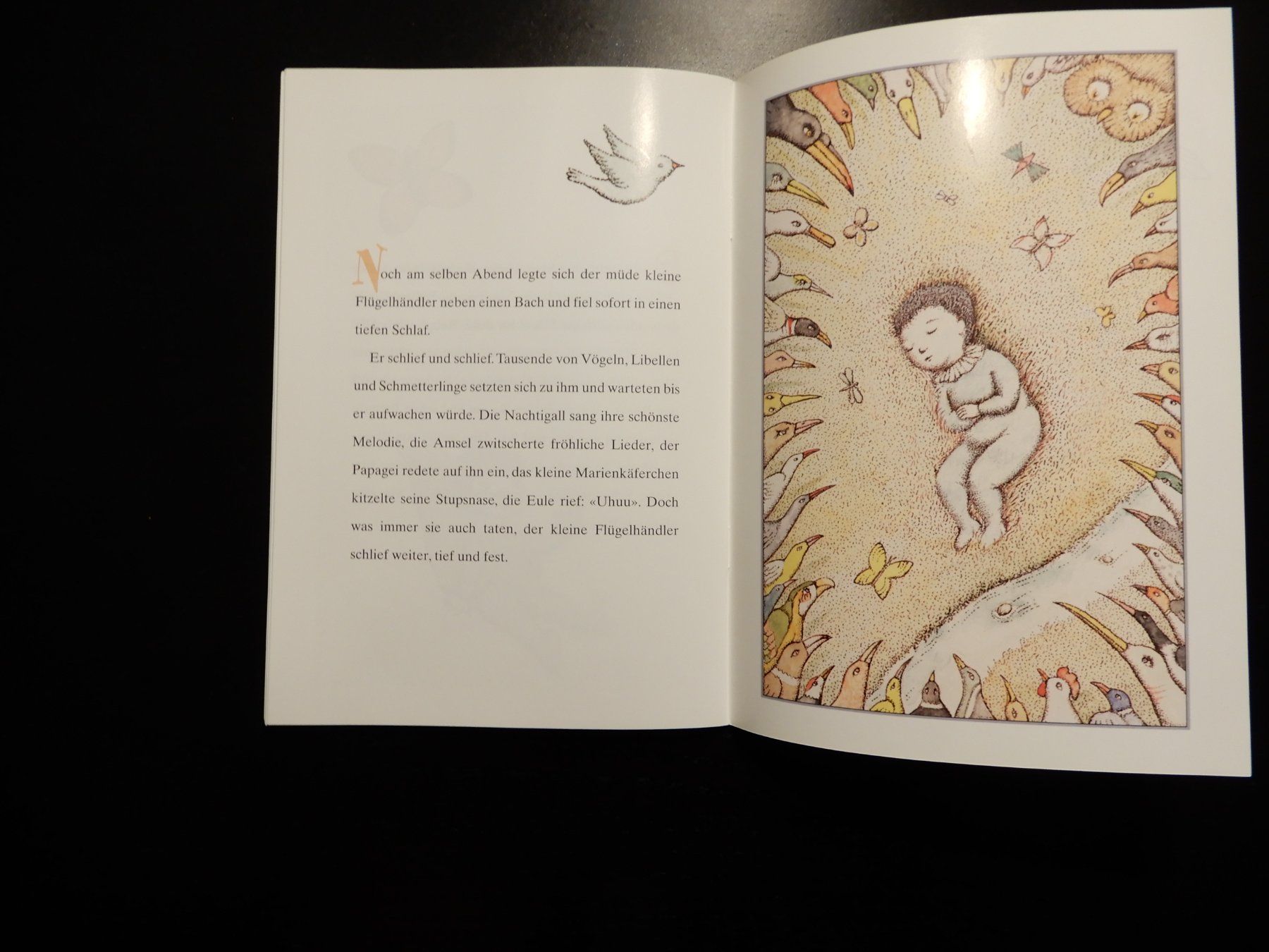 Libri: Der kleine Junge mit den Flügeln - Buch – Usato da Erstfeld venduto da Mario_boe0 5