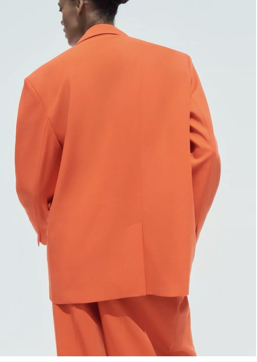 Zara Giacche: Zara blazer – Nuovo e nell'imballaggio originale da Opfikon venduto da ari_7yn2 9