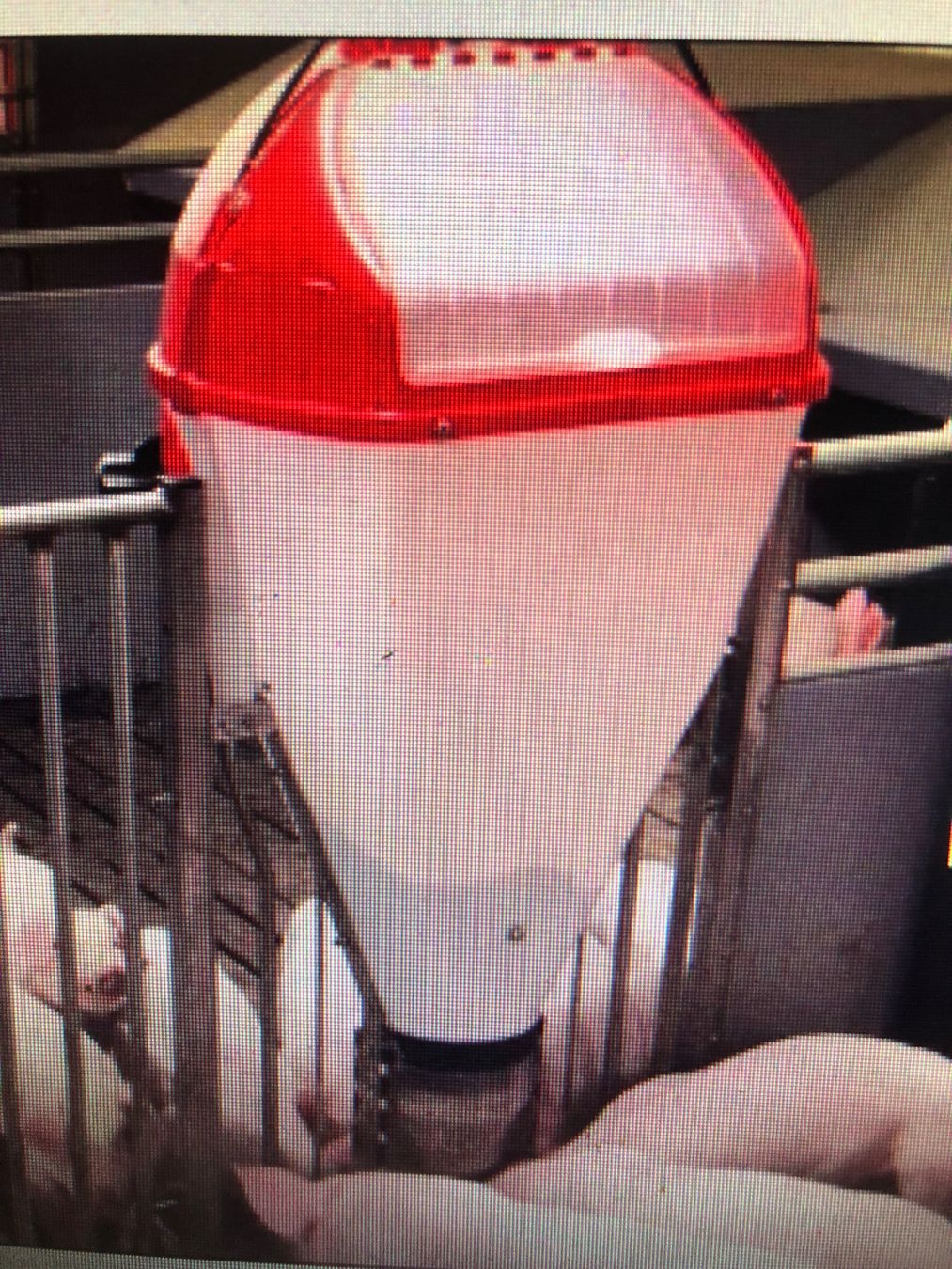 Tutte le macchine: Futterautomat für Schweine – Usato da Homburg venduto da goivanni 2