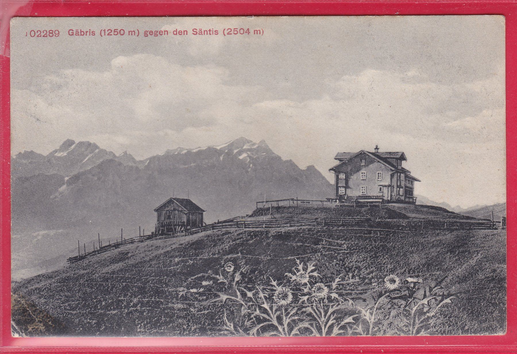Cartoline postali: GÄBRIS GEGEN DEN SÄNTIS, 12.9.1909 – Usato da Oberrieden venduto da Gebirgsstelze