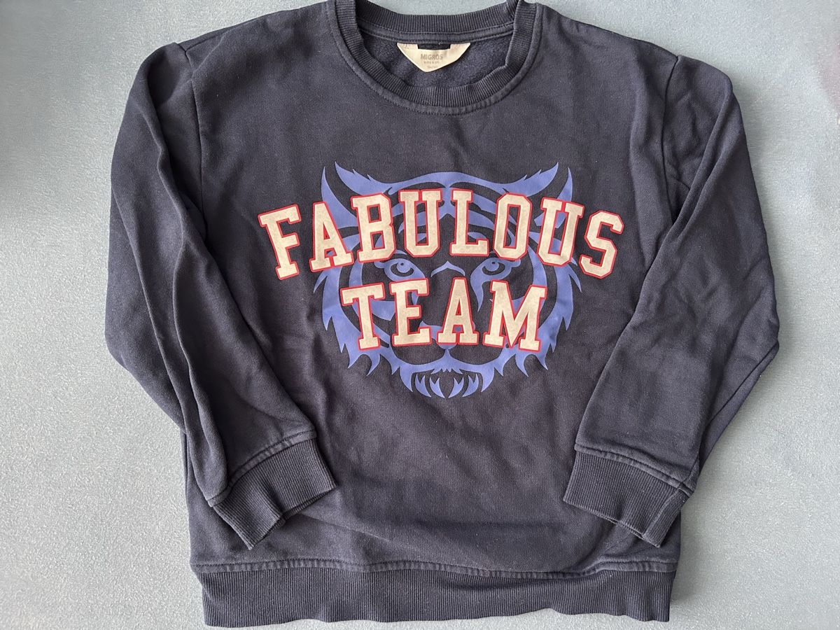 Pulls et sweat-shirts: Pullover 134/140 – D'occasion à Frauenfeld par manuburg