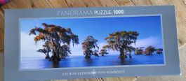Panorama Puzzle 