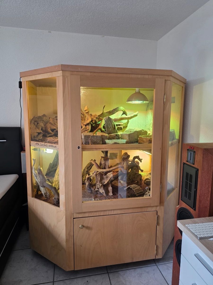 Terrariums: Terrarium – D'occasion à Seewen SO par lor_mm8w